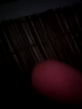 danellapass9090 online show from 10, 11, 2025