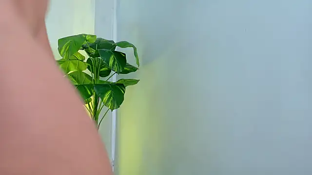 Anastasia gb online show from 5, 3, 2026