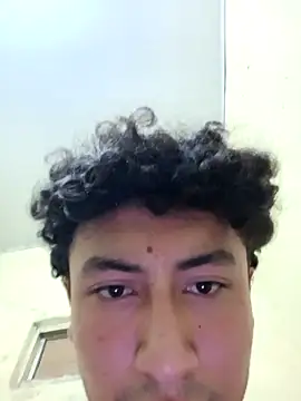 Novato o online show from 11, 3, 2026