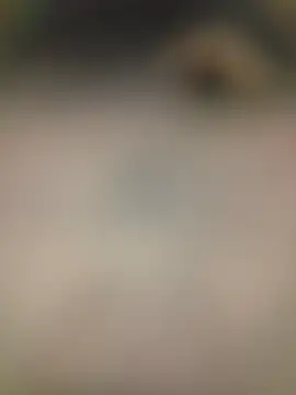 piggylatino online show from 2, 2, 2026