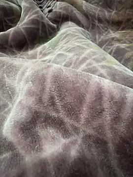 Snapshot of Afganiboy chatting on 4, 2, 2026 Afganiboy online show from 4, 2, 2026