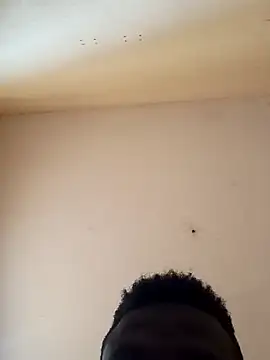 a Aleja online show from 24, 11, 2025