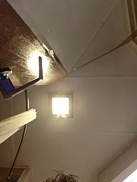 Snapshot of Mikey40wv chatting on 19, 2, 2026 Mikey40wv online show from 19, 2, 2026