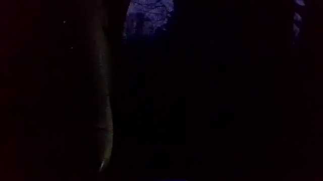 dickencidr online show from 19, 3, 2026