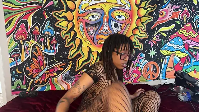 stellakobra online show from 24, 3, 2026