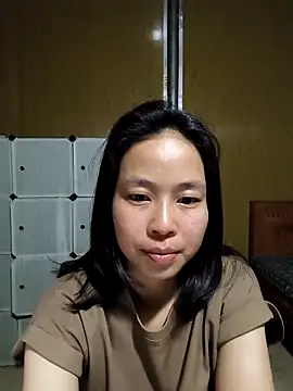 Cat-meow online show from 1, 4, 2026