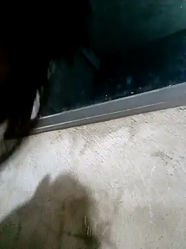 Snapshot of Ava-120 chatting on 17, 2, 2026 Ava-120 online show from 17, 2, 2026