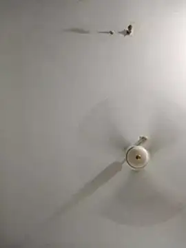 rupamim online show from 26, 3, 2026