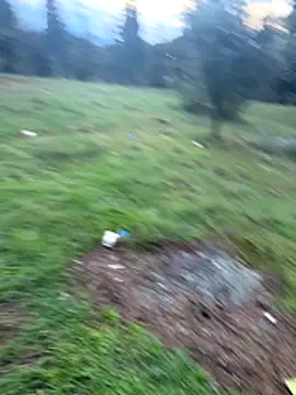 Locotre22 online show from 18, 11, 2025