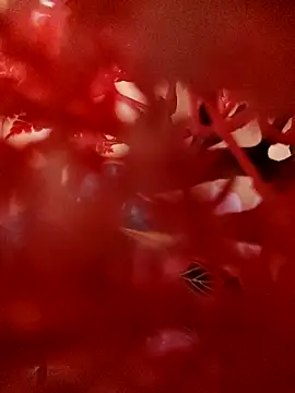 Jbsmaster online show from 19, 11, 2025