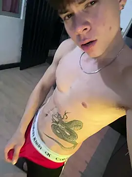 Snapshot of Handsome_boys69 chatting on 11, 6, 2026 Handsome boys69 online show from 11, 6, 2026