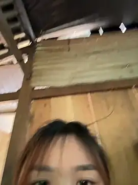 Spring-spring online show from 24, 11, 2025