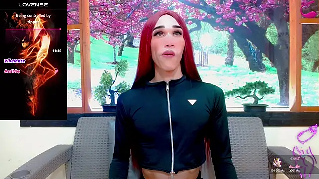 Snapshot of britanny_noroeste chatting on 17, 1, 2026 britanny noroeste online show from 17, 1, 2026