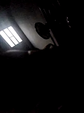 277T online show from 23, 12, 2025