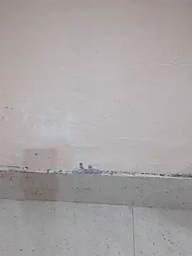 Snapshot of Alli8900 chatting on 19, 3, 2026 Alli8900 online show from 19, 3, 2026