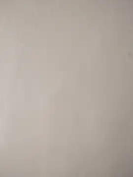 Leoscdd online show from 18, 4, 2026