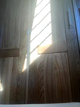 Snapshot of HuggingRegulus chatting on 24, 11, 2025 HuggingRegulus online show from 24, 11, 2025