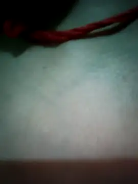 Snapshot of Punam_panjabi chatting on 11, 6, 2026 Punam panjabi online show from 11, 6, 2026