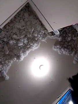 4ikoou37 online show from 26, 11, 2025