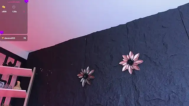 Paulo 527 online show from 6, 1, 2026