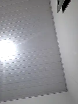 Todinhasua1 online show from 27, 11, 2025