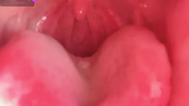 LT-333 online show from 10, 2, 2026