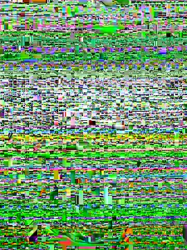 alexzzzzzppp online show from 27, 11, 2025