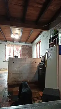 Snapshot of ChanneldelaCroix chatting on 20, 2, 2026 ChanneldelaCroix online show from 20, 2, 2026