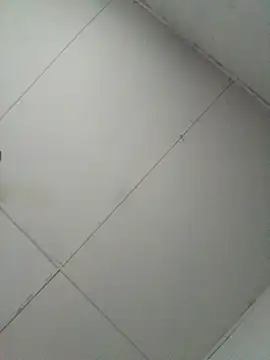 losangelesaid online show from 4, 12, 2025