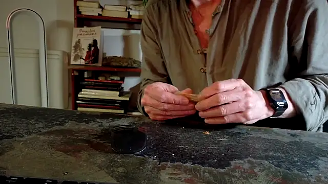 diogene11 online show from 29, 11, 2025