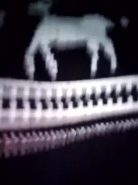 iam-eli online show from 16, 1, 2026