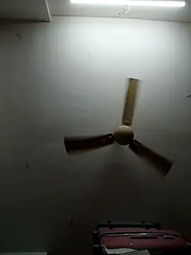 shilpa-singh online show from 5, 3, 2026