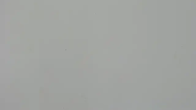 Ladymadinght online show from 4, 2, 2026