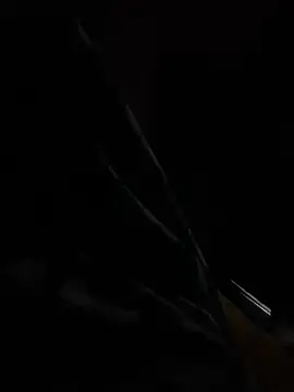 Snapshot of hot8veera chatting on 2, 12, 2025 hot8veera online show from 2, 12, 2025