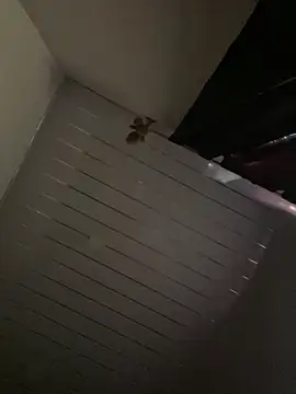 Carameloswing1 online show from 19, 3, 2026