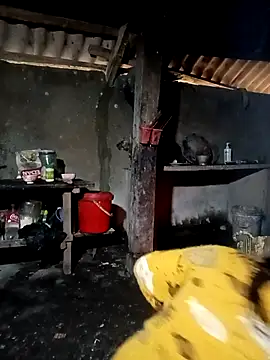 ava-dellght online show from 1, 2, 2026