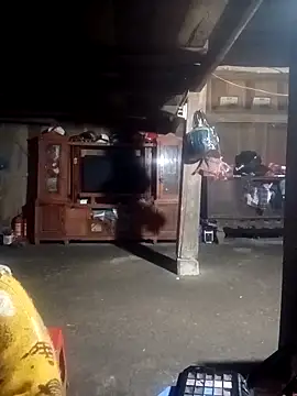 ava-dellght online show from 4, 2, 2026