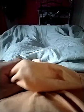 tiger 95MA online show from 5, 12, 2025