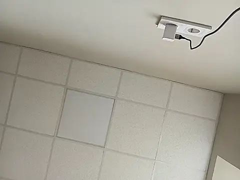 HapinessLovee online show from 31, 3, 2026