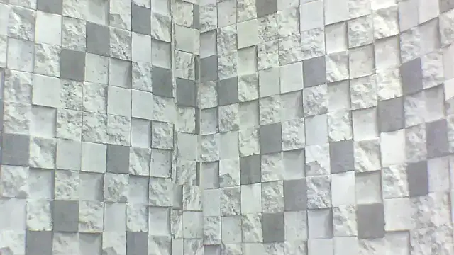 Exotic indian95 online show from 16, 4, 2026