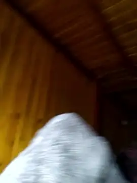 neko-nancy online show from 28, 2, 2026