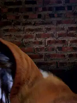 yana-zz online show from 13, 1, 2026