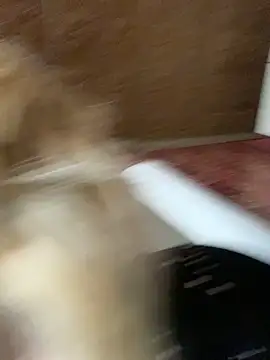 Barbika19 online show from 9, 3, 2026