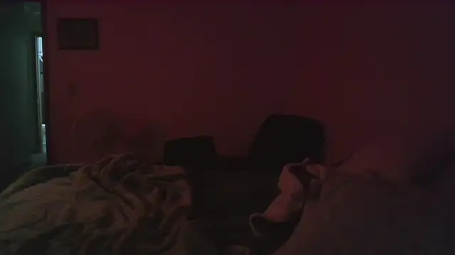 dixielover1229 online show from 16, 12, 2025