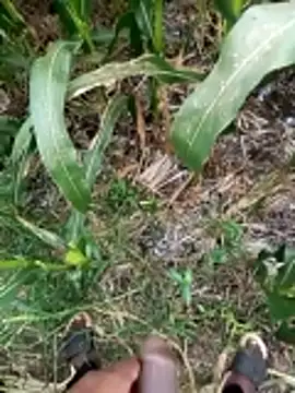 loki-king-143 online show from 9, 3, 2026