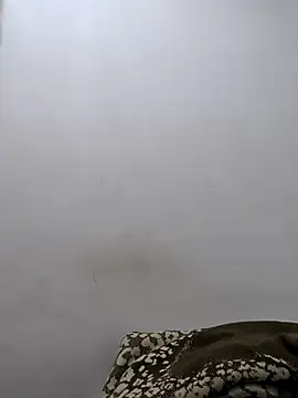 Snapshot of twinkarabboy chatting on 17, 2, 2026 twinkarabboy online show from 17, 2, 2026