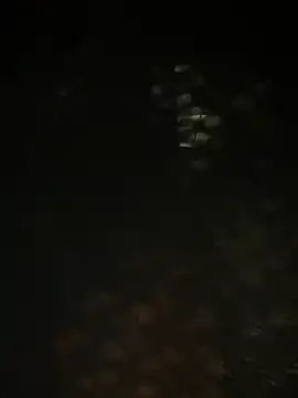 Nika-be online show from 29, 3, 2026