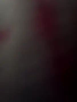 Casadocurioso50 online show from 14, 4, 2026