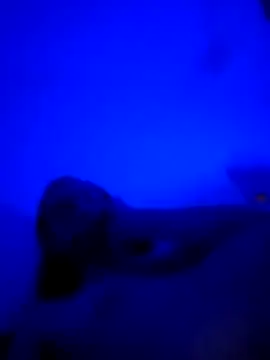 Snapshot of vladopen chatting on 7, 1, 2026 vladopen online show from 7, 1, 2026