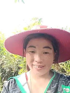 seacyre online show from 8, 4, 2026